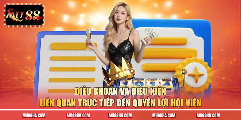 Điều khoản và điều kiện liên quan trực tiếp đến quyền lợi hội viên