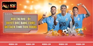 Kèo Tài Xỉu - Bí Quyết Đọc Bảng Cược Và Cách Tính Tiền Thắng